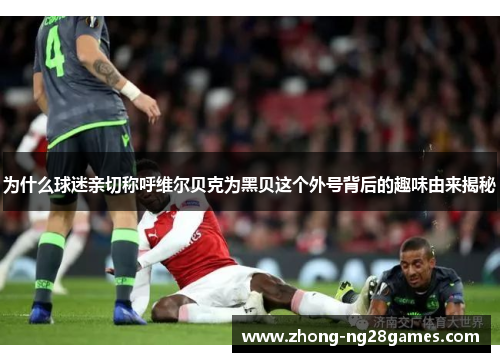 为什么球迷亲切称呼维尔贝克为黑贝这个外号背后的趣味由来揭秘